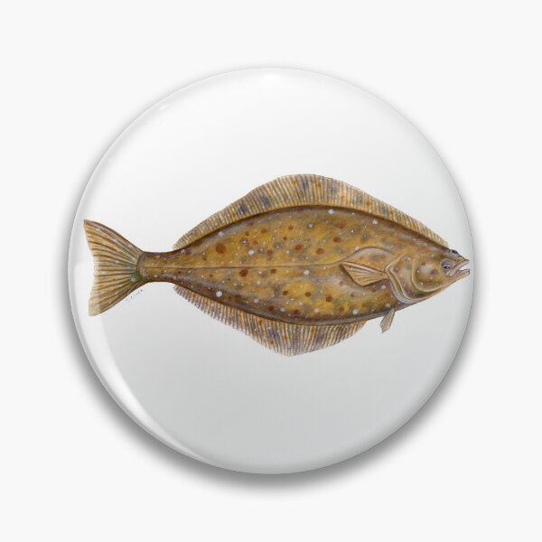 Item preview, Pacific Halibut (Hippoglossus stenolopsis) designed and sold by Tamara Clark.
