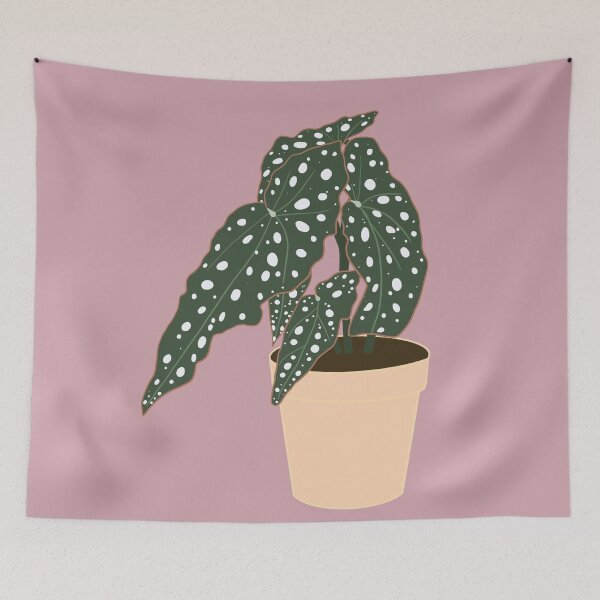 Item preview, Begonia Maculata Plant – Cream Pot designed and sold by RaquelsRoom.