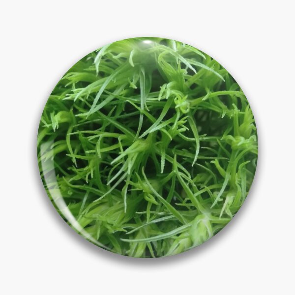 Item preview, It's Not Grass It's Green Bloom designed and sold by doodle3Dandy.