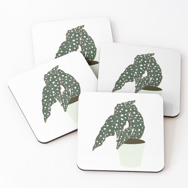 Item preview,  Begonia Maculata Plant – Mint Pot designed and sold by RaquelsRoom.