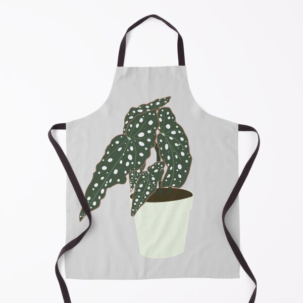 Item preview, Begonia Maculata Plant – Mint Pot designed and sold by RaquelsRoom.