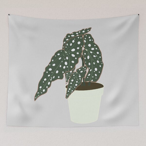 Item preview,  Begonia Maculata Plant – Mint Pot designed and sold by RaquelsRoom.