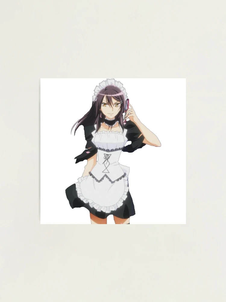 ハンドメイド(Misaki様) Misaki Ayuzawa Plush | Official Maid Sama Merch – little