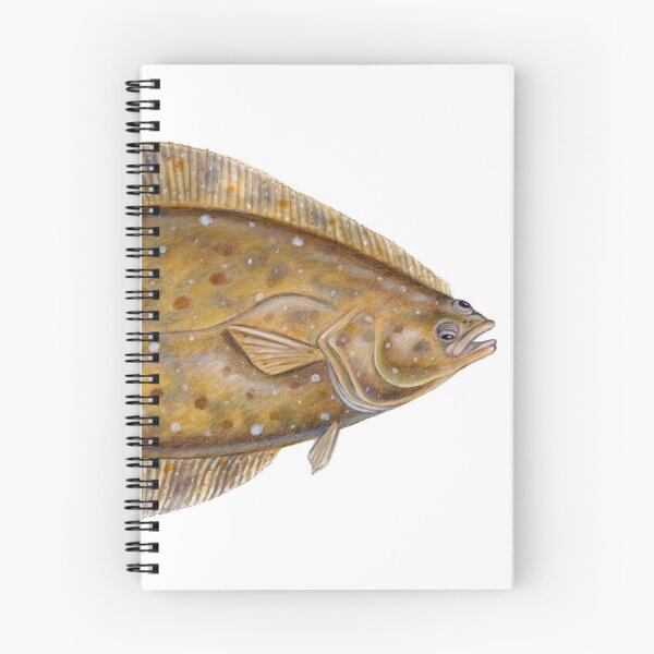 Item preview, Pacific Halibut (Hippoglossus stenolopsis) designed and sold by Tamara Clark.