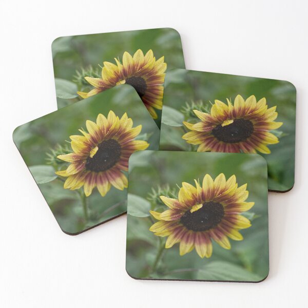 Item preview, sunflower.a designed and sold by astro-nature.