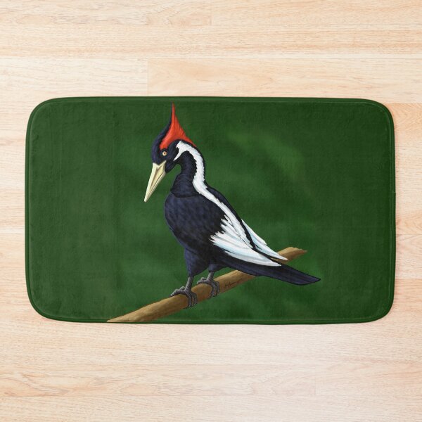 Item preview, The Rarest Woodpecker (Ivory Billed Woodpecker) designed and sold by Imagine My Universe.