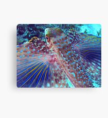 fish Canvas Print