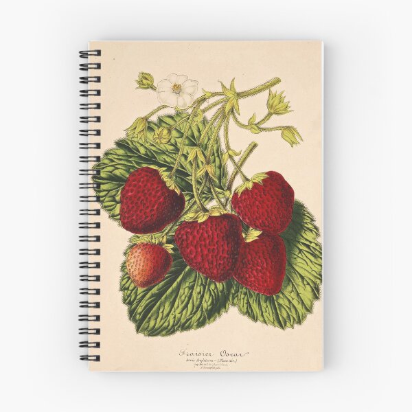 Item preview, Strawberry Vintage Botanical Illustration designed and sold by cloverkate.