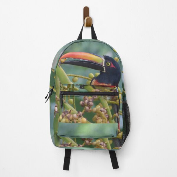 Item preview, Toucan Aracari designed and sold by TropicVibes260.