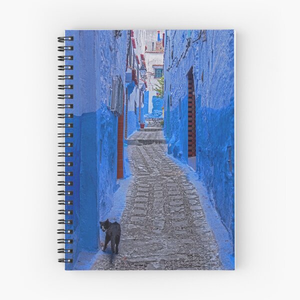 Item preview, Alley Cat, Chefchaouen. designed and sold by bulljup.
