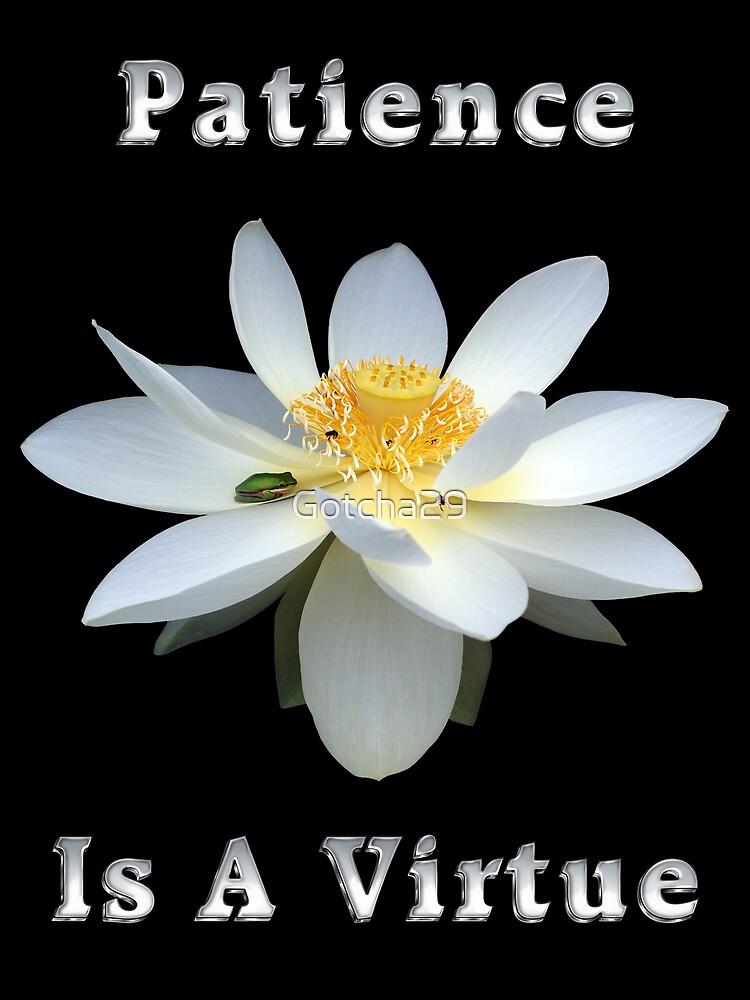 "Lotus Flower Patience is a Virtue" Tshirt for Sale by Gotcha29