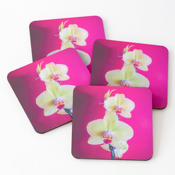Item preview, closeup white and pink orchids plant with pink background designed and sold by Mrvell.