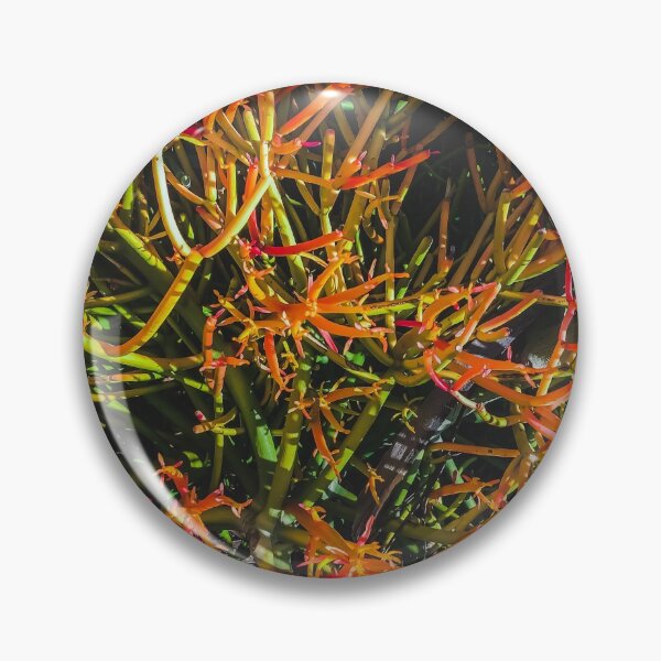 Item preview, closeup green and orange spiky plant texture abstract background designed and sold by Mrvell.