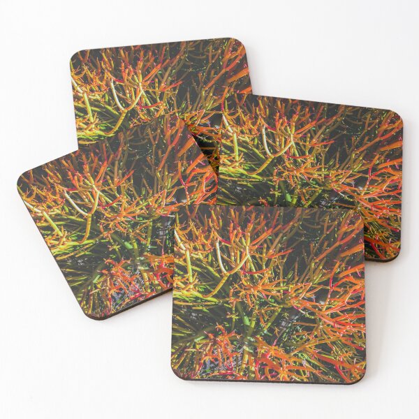 Item preview, closeup green and orange spiky plant texture abstract background designed and sold by Mrvell.