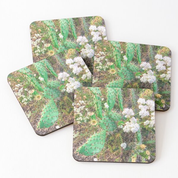 Item preview, green cactus with blooming white flowers designed and sold by Mrvell.
