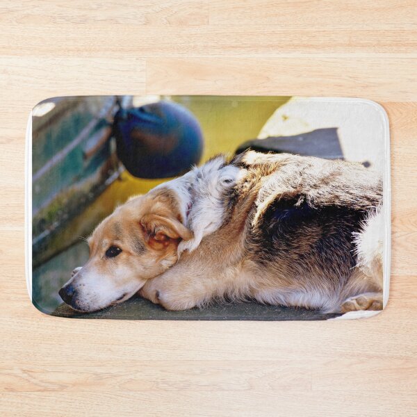 Item preview, Boat bookshop dog designed and sold by PhotoCDesign.