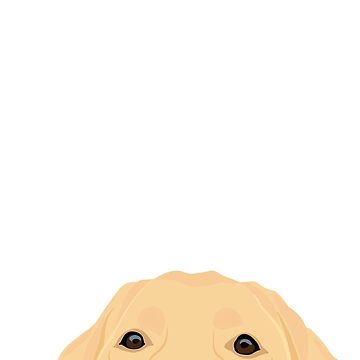 Artwork thumbnail, Curious yellow Labrador by kherrin