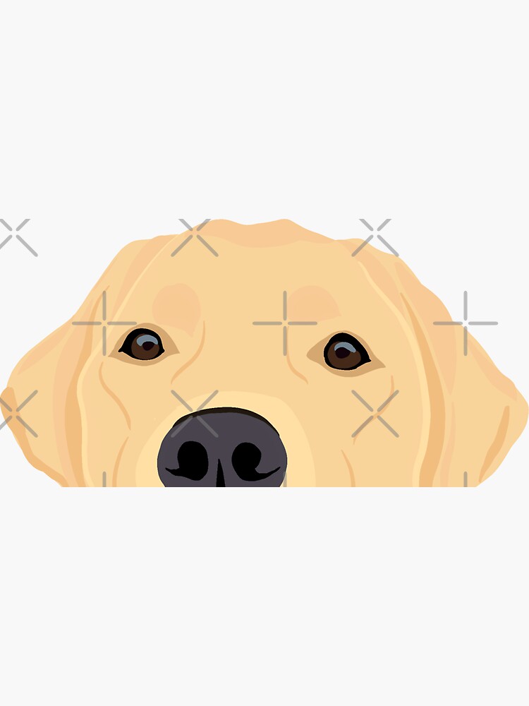 Thumbnail 3 of 3, Sticker, Curious yellow Labrador designed and sold by kherrin.