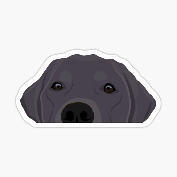 Black labrador shop merchandise