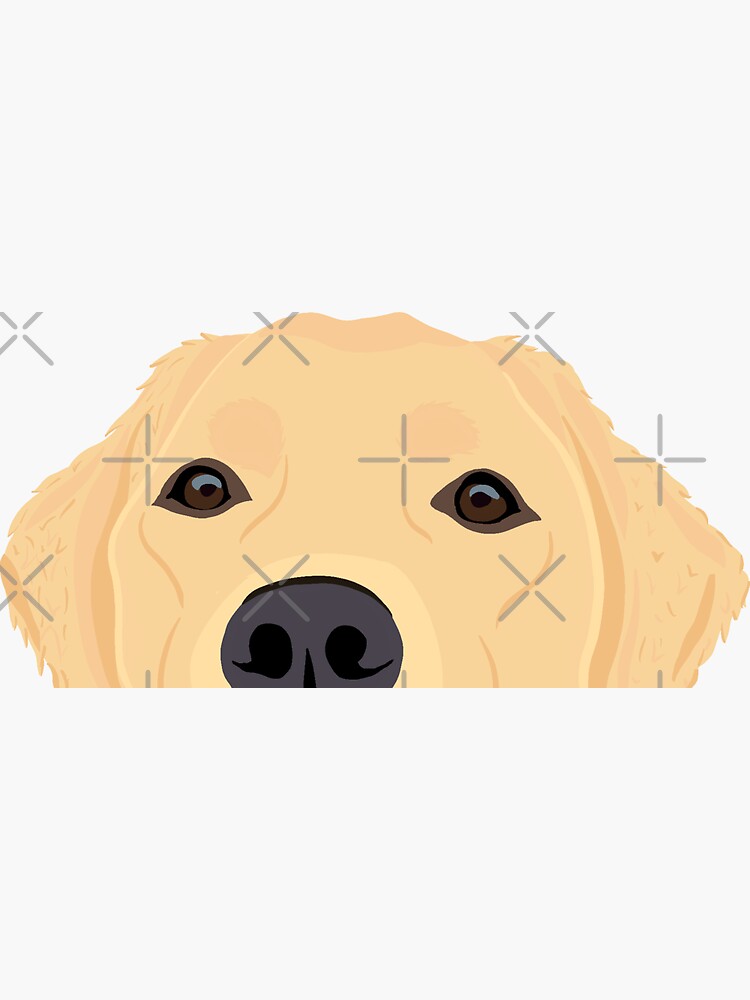 Golden clearance retriever decal