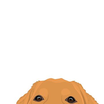 Artwork thumbnail, Curious Red Golden Retriever by kherrin