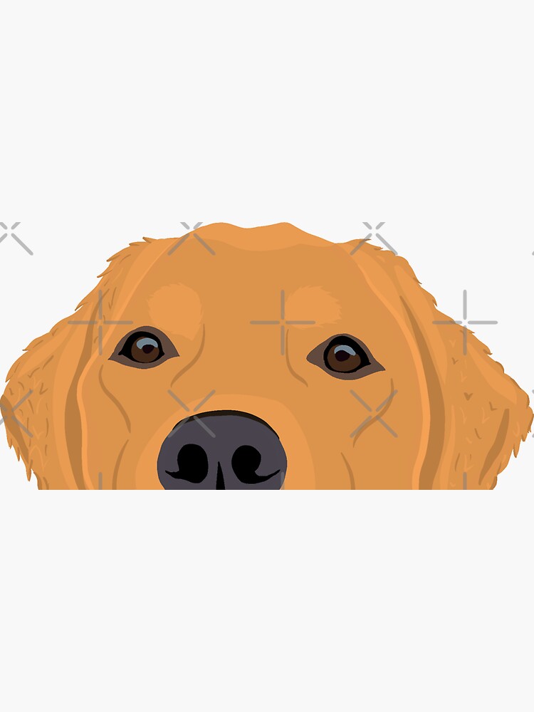 Thumbnail 3 of 3, Sticker, Curious Red Golden Retriever designed and sold by kherrin.