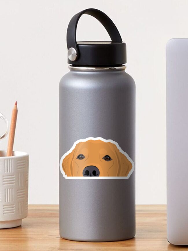 Thumbnail 1 of 3, Sticker, Curious Red Golden Retriever designed and sold by kherrin.