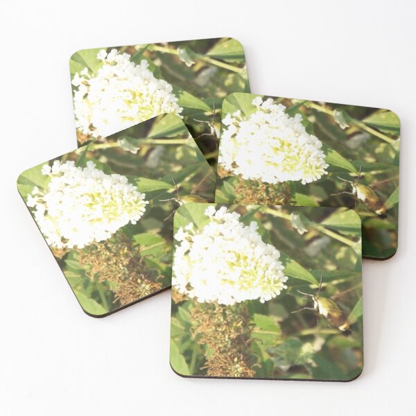 Item preview, tiny insect feeds off butterfly bush designed and sold by whitedove457.