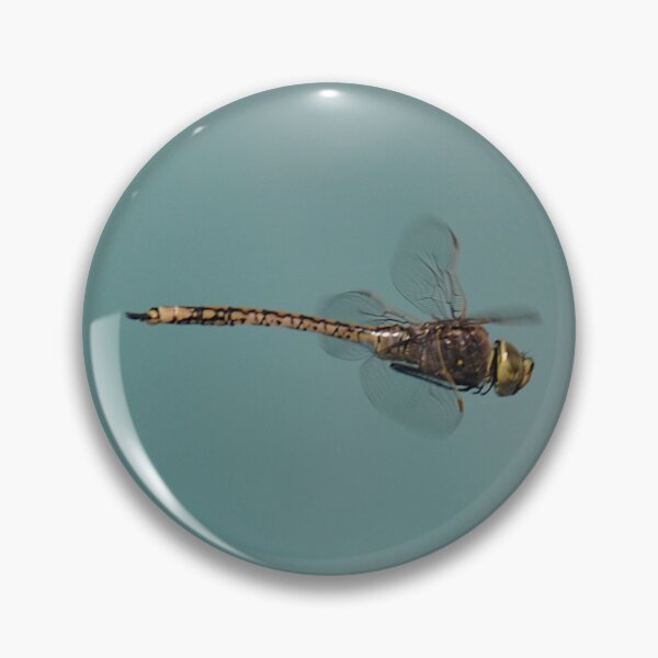 Item preview, 20191007 Dragonfly, West Ryde,NSW, Australia designed and sold by muz2142.