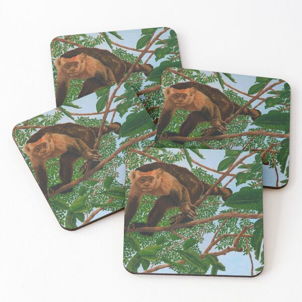 Item preview, Costa Rica monkey. designed and sold by laurettairene.