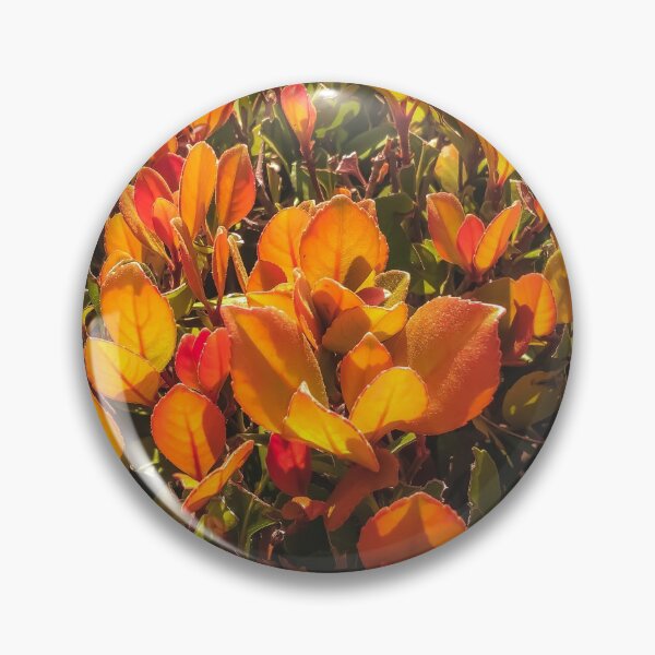 Item preview, closeup orange leaves plant texture background designed and sold by Mrvell.