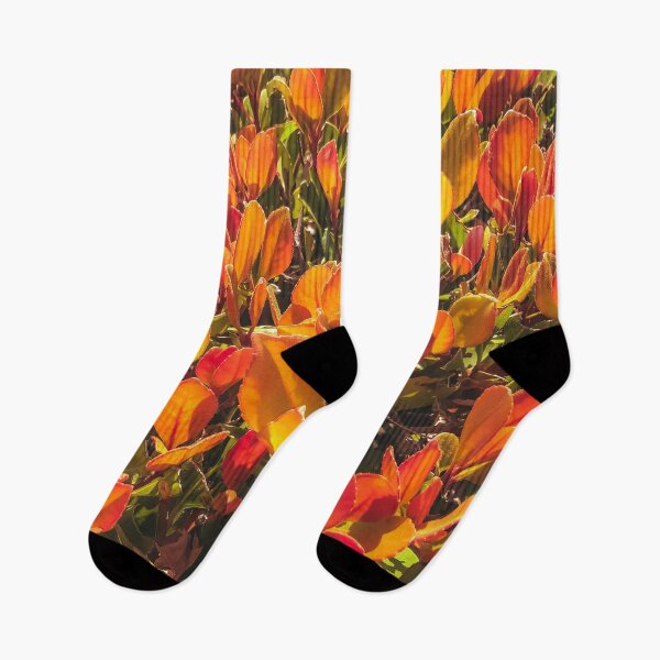 Item preview, closeup orange leaves plant texture background designed and sold by Mrvell.