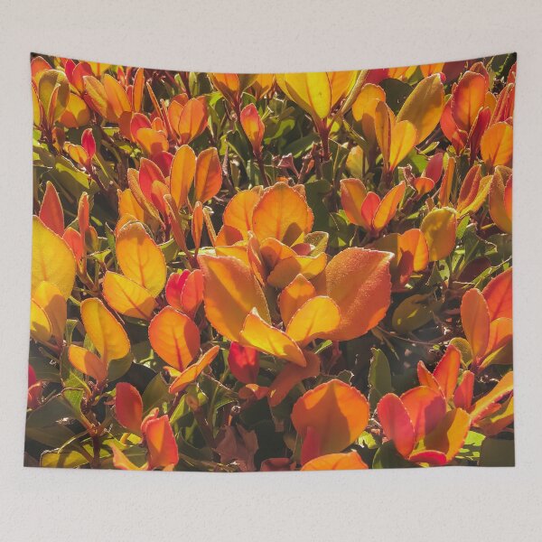 Item preview, closeup orange leaves plant texture background designed and sold by Mrvell.