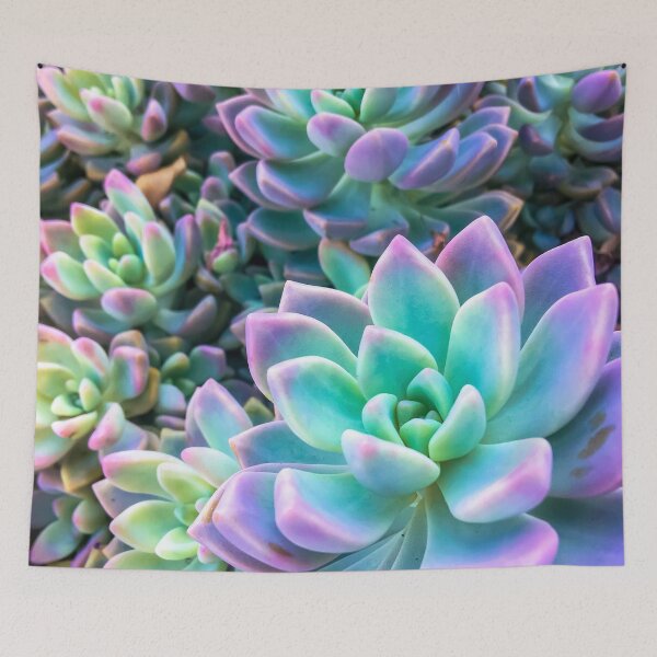 Item preview, closeup green and pink succulent plant garden background designed and sold by Mrvell.