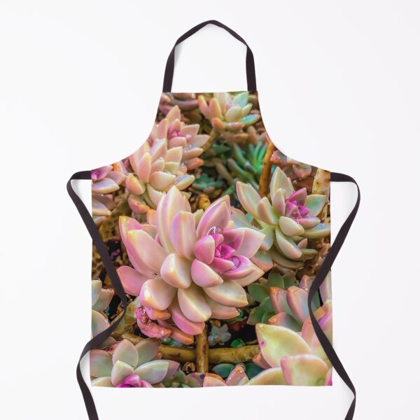 Item preview, closeup pink and green succulent plant garden designed and sold by Mrvell.