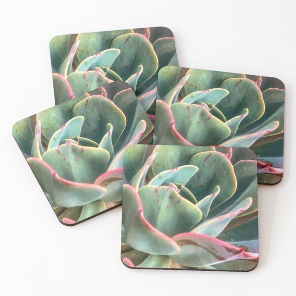 Item preview, closeup green and pink succulent plant designed and sold by Mrvell.