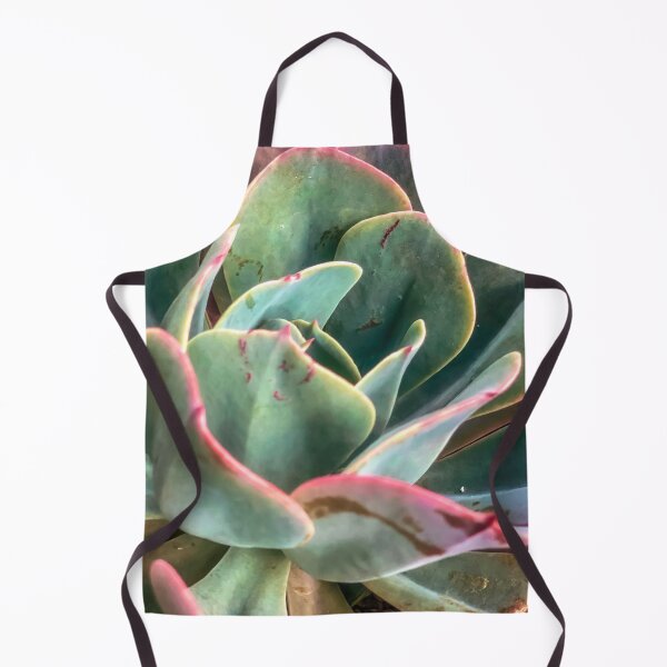 Item preview, closeup green and pink succulent plant designed and sold by Mrvell.