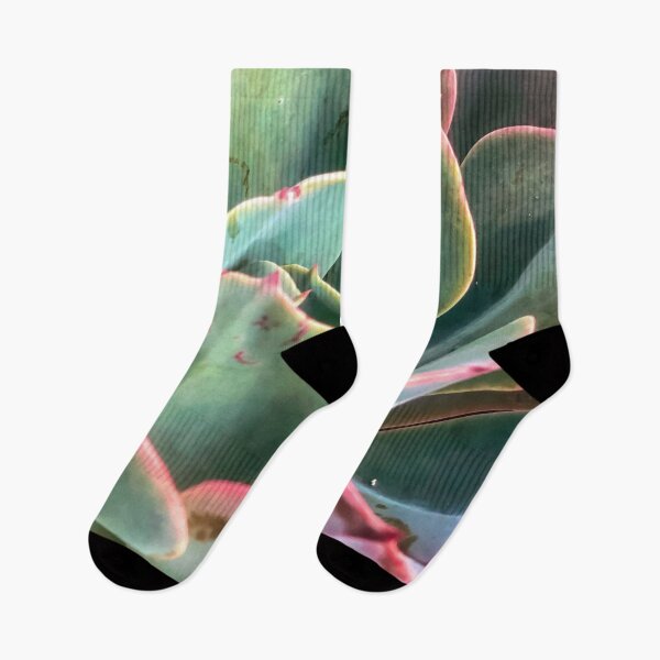 Item preview, closeup green and pink succulent plant designed and sold by Mrvell.