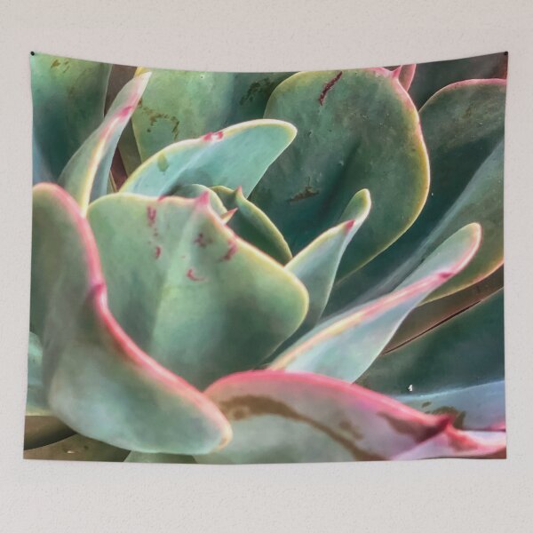 Item preview, closeup green and pink succulent plant designed and sold by Mrvell.
