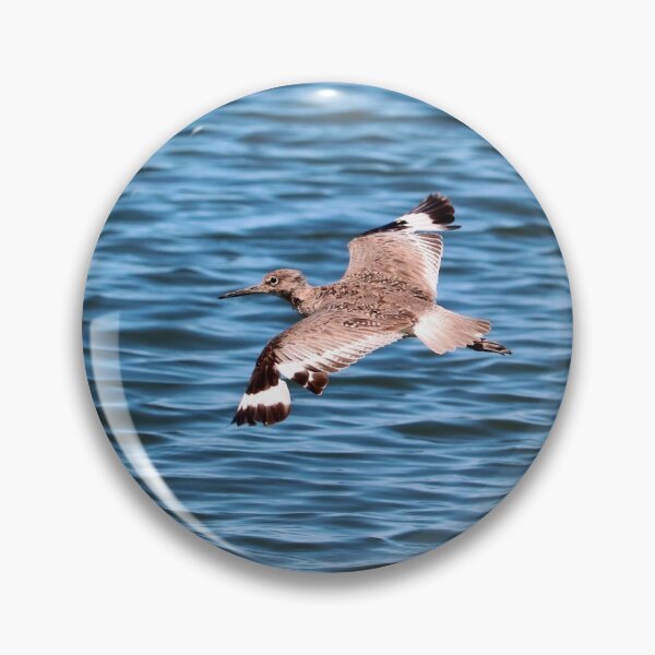 Item preview, Seabird in Flight designed and sold by KsbAesthetics.