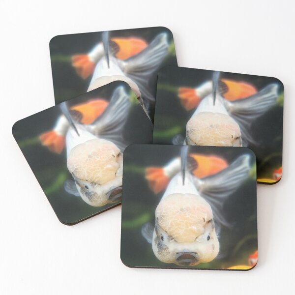 Artikelvorschau, Panda Oranda! entworfen und verkauft von GregDorney.