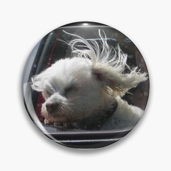 Item preview, Oooh, how I love the wind and rain in my hair... designed and sold by Roz McQuillan Fine Art & Photography.