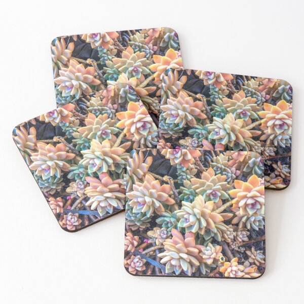 Item preview, closeup green and pink succulent plant garden background designed and sold by Mrvell.