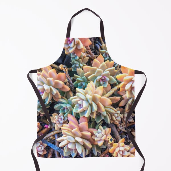 Item preview, closeup green and pink succulent plant garden background designed and sold by Mrvell.