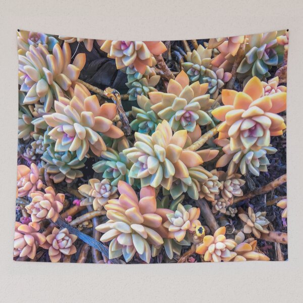 Item preview, closeup green and pink succulent plant garden background designed and sold by Mrvell.