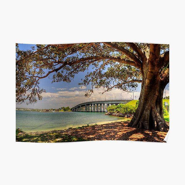 Captain Cook Bridge Poster