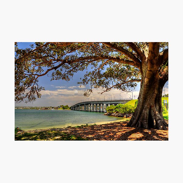 Captain Cook Bridge Photographic Print