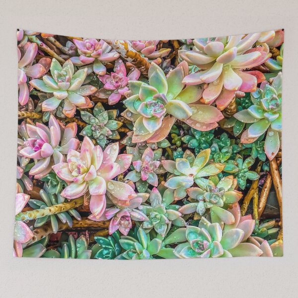 Item preview, green and pink succulent plant garden designed and sold by Mrvell.