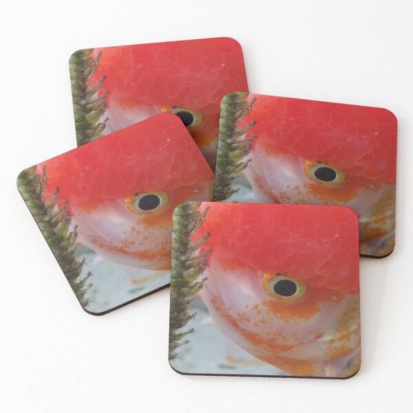 Item preview, Cheeky Redcap Oranda designed and sold by GregDorney.