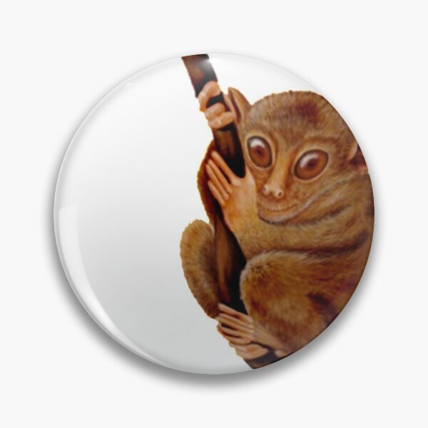 Item preview, Madagascar Fun designed and sold by wahine24.
